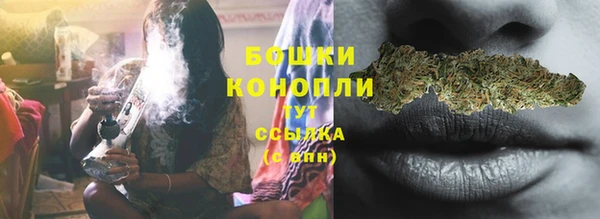 ешки Бородино
