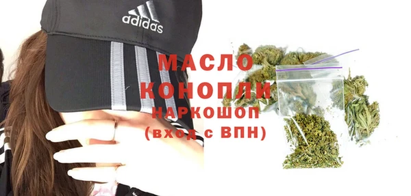 ешки Бородино