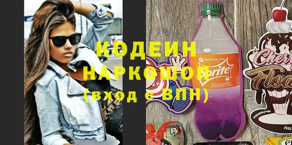 ешки Бородино