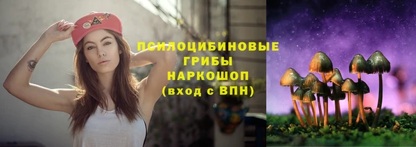 ешки Бородино
