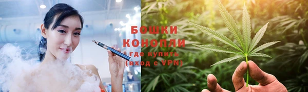 хмурый Бронницы