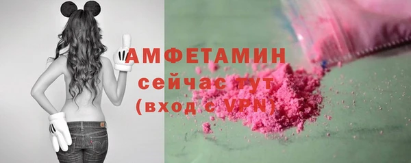 ешки Бородино