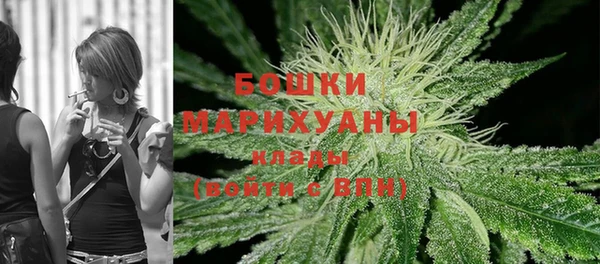 ешки Бородино