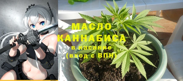 ешки Бородино