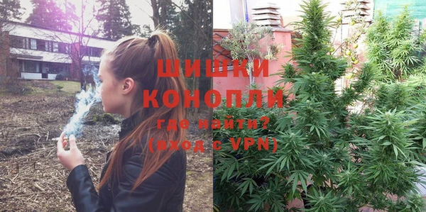 ешки Бородино